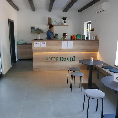 Kamp David Crnice
